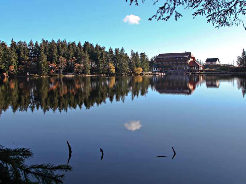 Döttelbacher Mühle – Urlaub im Schwarzwald von seiner schönsten Seite